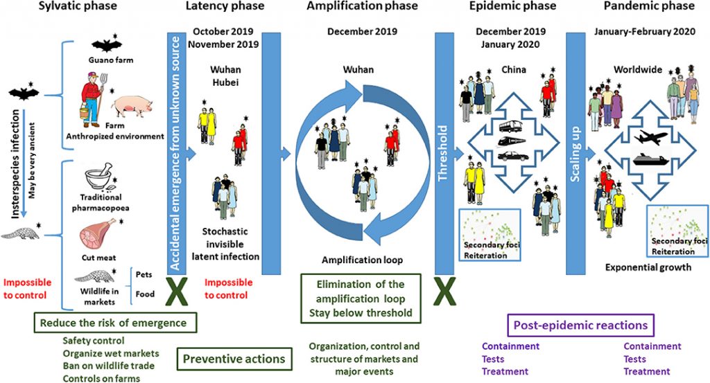 Will The Pandemic Transform Into An Endemic?: 5 Considerations