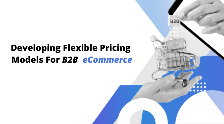 Developing Flexible Pricing Models For B2B eCommerce